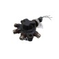 Distributore carburante RENAULT Clio Serie dal 01 al 05