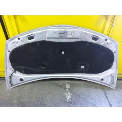 Cofano Anteriore RENAULT Clio Grandtour dal 08 al 12 - 749719 - 749719