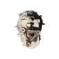 Cambio Manuale Completo FORD Transit Serie dal 00 al 06