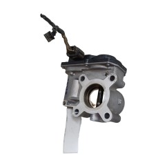 Corpo Farfallato RENAULT Kangoo 3° Serie
