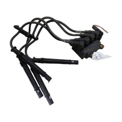 Bobine accensione RENAULT Kangoo 3° Serie