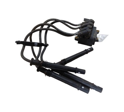 Bobine accensione RENAULT Kangoo 3° Serie