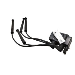 Bobine accensione RENAULT Clio Serie dal 01 al 05 - 224336134R - 3375718