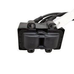Bobine accensione RENAULT Clio Serie dal 01 al 05 - 224336134R - 3375718