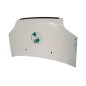 Cofano Anteriore FORD Transit Connect 3° Serie