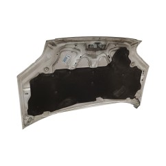 Cofano Anteriore FORD Transit Connect 3° Serie - 5149226 - 3385982