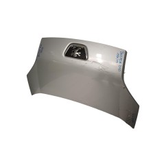 Cofano Anteriore PEUGEOT Bipper 1° Serie - 7901Q0 - 3386161