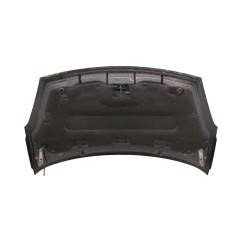 Cofano Anteriore CITROEN Berlingo 3° Serie - 7901P7 - 3396453