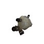 Vaschetta liquido radiatore SMART ForTwo Cabrio W451