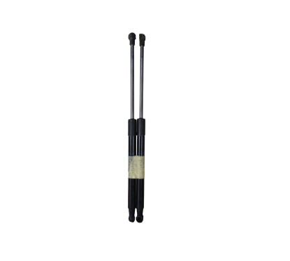 Pistoncini cofano Post. SMART Fortwo Brabus - A4539800064 - 3412136