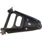 Braccio Oscillante Anteriore Sinistro SMART Roadster 1° Serie