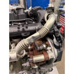Motore Completo FORD Fiesta 6° Serie - 1516686 - 3174067