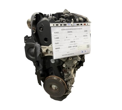 Motore Completo FORD Fiesta 6° Serie - 1516686 - 3174075