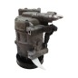 Compressore A/C RENAULT Clio Serie IV dal 12 al 19