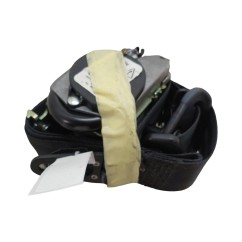 Cintura di sicurezza Posteriore DX RENAULT Clio Serie IV dal 12 al 19 - 888404130R - 3483117