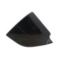 Pannello Portiera esterno posteriore SX SMART Forfour 1° Serie
