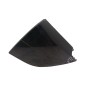 Pannello Portiera esterno posteriore SX SMART Forfour 1° Serie