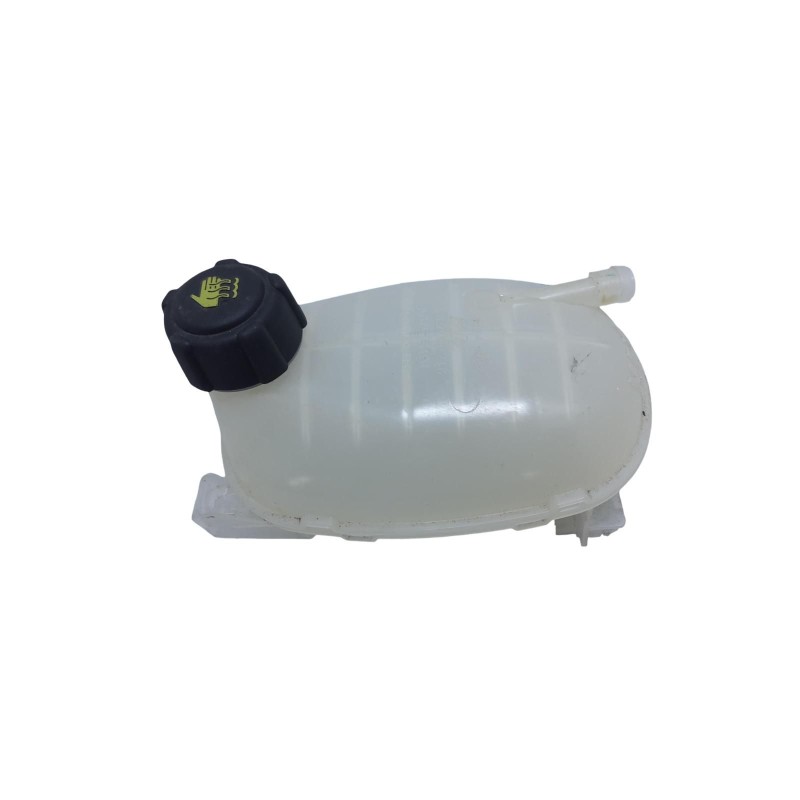 Vaschetta liquido radiatore RENAULT Captur Serie