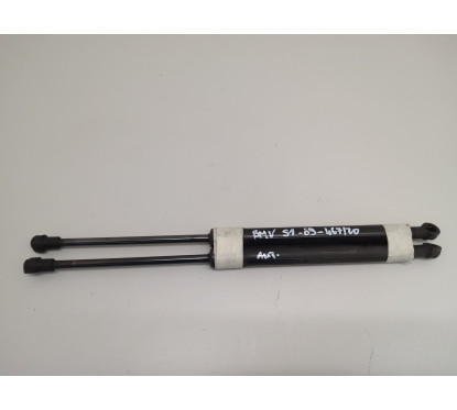 Pistoncini cofano Post. BMW Serie 1 Serie E87 dal 04 al 07 - 447111 - 447111