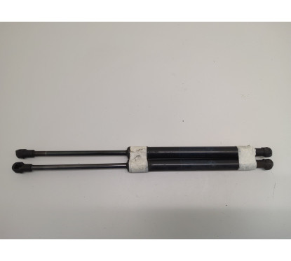 Pistoncini cofano Post. BMW Serie 1 Serie E87 dal 04 al 07