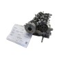 Testa Completa TOYOTA Yaris Serie dal 99 al 03