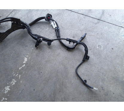 Cablaggio convertitore a pacco batterie FORD Puma Serie dal 19