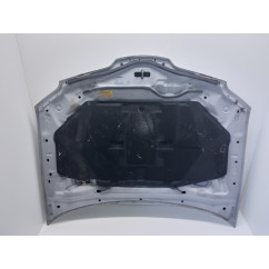 Cofano Anteriore MITSUBISHI Outlander Serie CU0W dal 03 al 07 - 1041391 - 1041391