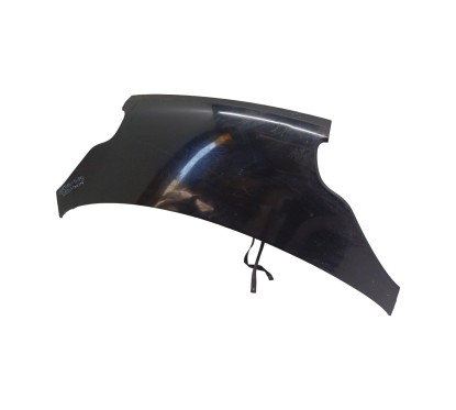 Cofano Anteriore SMART ForTwo Cabrio W451