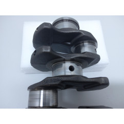 Albero Motore FORD Transit Serie dal 06 al 14 - 1169179 - 1169179