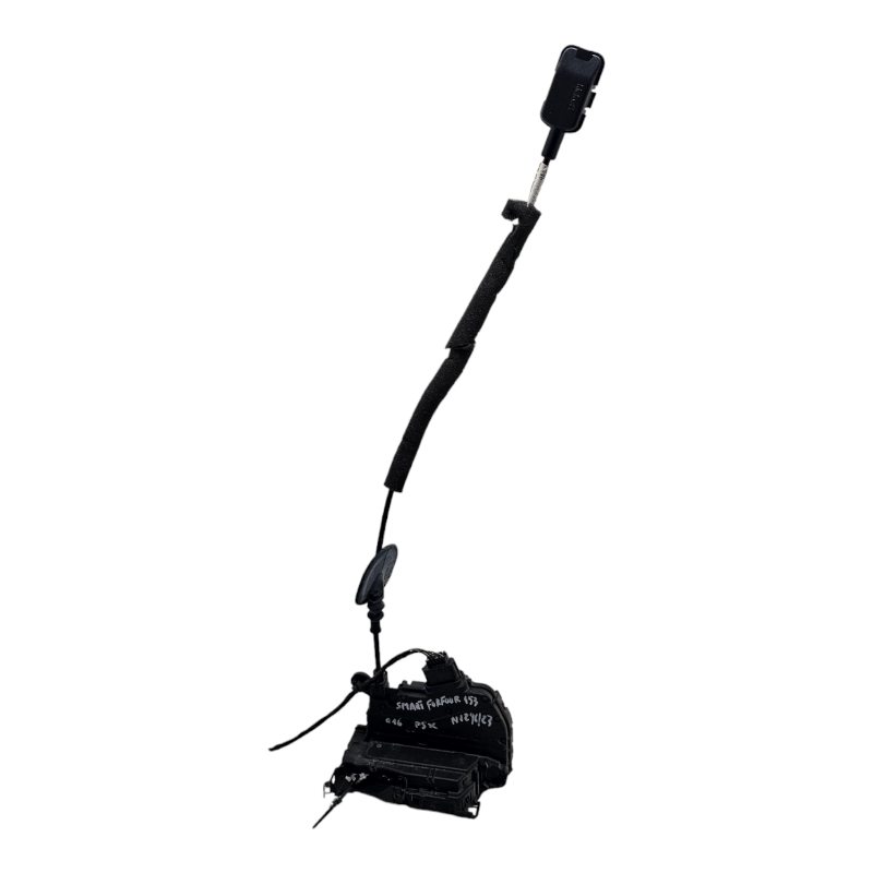 Serratura Posteriore Sinistra SMART Forfour 2° Serie
