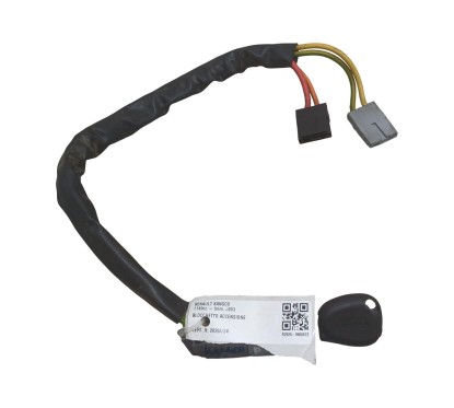 Blocchetto Accensione RENAULT Kangoo 2° Serie