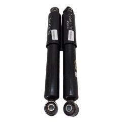 Coppia Ammortizzatori FIAT Ducato 5° Serie