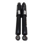 Coppia Ammortizzatori FIAT Ducato 5° Serie