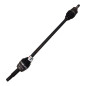 Semialbero post DX TOYOTA Rav4 4° Serie