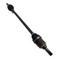 Semialbero post SX TOYOTA Rav4 4° Serie