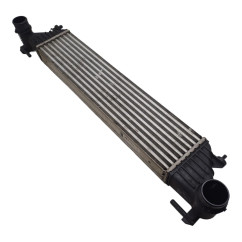 Intercooler FIAT 500 L Serie 351 352 dal 12
