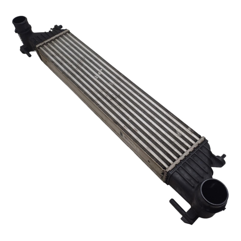 Intercooler FIAT 500 L Serie 351 352 dal 12