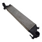 Intercooler FIAT 500 L Serie 351 352 dal 12