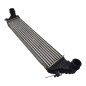 Intercooler FIAT 500 L Serie 351 352 dal 12