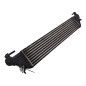 Intercooler FIAT 500 L Serie 351 352 dal 12