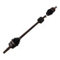 Semialbero ant. DX FIAT Ducato 5° Serie