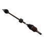 Semialbero ant. DX FIAT Ducato 5° Serie