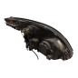 Faro Anteriore Sinistro RENAULT Scenic Serie dal 99 al 03