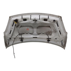 Cofano Anteriore PEUGEOT Partner 3° Serie - 7901P7 - 1724662