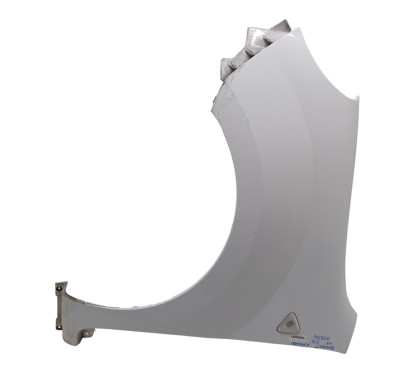 Parafango Anteriore Sinistro RENAULT Kangoo 4° Serie