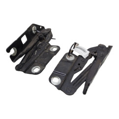 Cerniere cofano anteriore dx e sx MERCEDES Classe M 2° Serie - 1755349 - 1755349