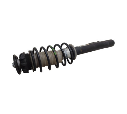 Ammortizzatore Anteriore Sinistro SMART Fortwo Coupé W451 - A4513202531 - 1776501