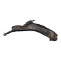 Braccio Oscillante Anteriore Sinistro CHEVROLET Spark 1° Serie