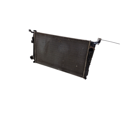Radiatore acqua DACIA Duster 1° Serie