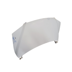 Cofano Anteriore FIAT Multipla 2° Serie - 51736869 - 1866240